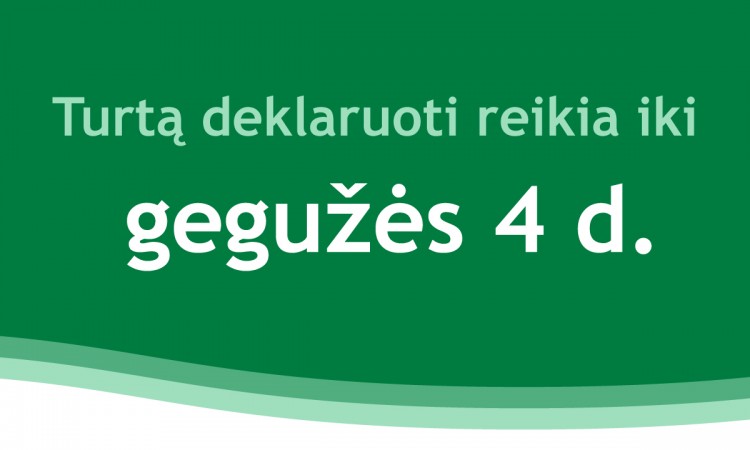 Liko vos kelios dienos pateikti duomenis apie turtą  