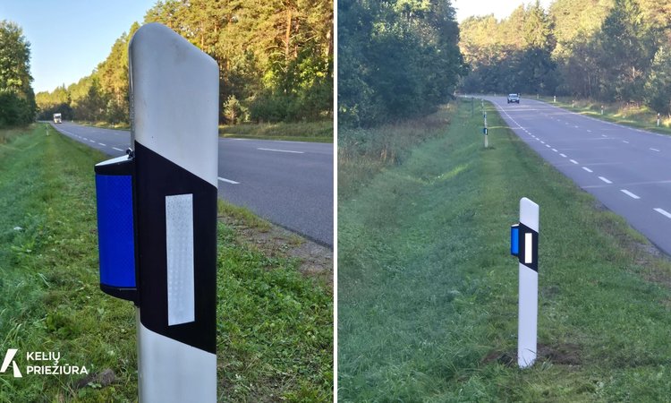 400 laukinių gyvūnų atbaidymo atšvaitų Lietuvos keliuose: bus vertinamas jų efektyvumas