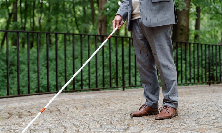 Baltosios lazdelės žygis jau antrą kartą Tauragėje
