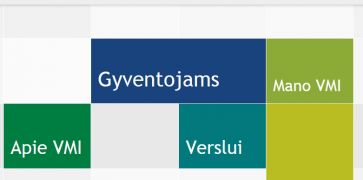VMI skelbia turto ir pajamų deklaravimo startą