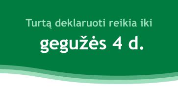 Liko vos kelios dienos pateikti duomenis apie turtą  