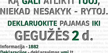 Šiemet 1,3 mln. gyventojų pajamas deklaruos vieno mygtuko paspaudimu