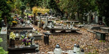 Šventinį savaitgalį Tauragėje – be didesnio lietaus, tačiau rudeniškai vėsu